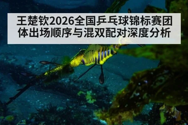 王楚钦2026全国乒乓球锦标赛团体出场顺序与混双配对深度分析